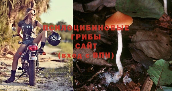 гашишное масло Ладушкин