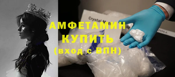 крисы Надым